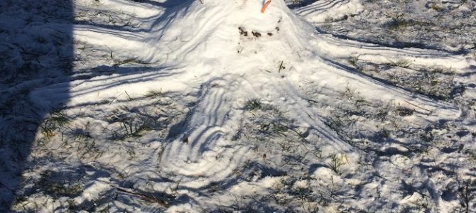 Bei herrlichem Sonnenschein fand am 20.01.2017 unser „Wintertag“ statt Bei herrlichem Sonnenschein fand am 20.01.2017 unser „Wintertag“ statt