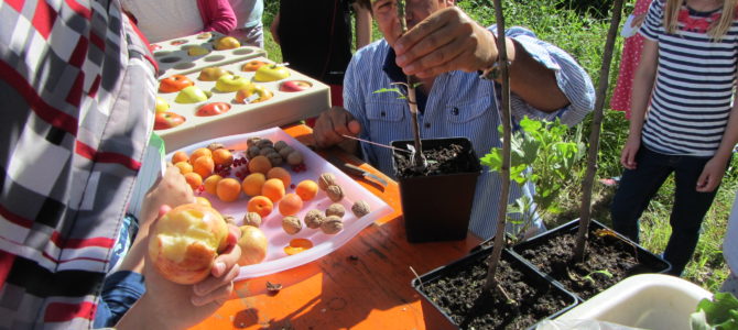 Unsere 2. Klasse bildet sich am 20.06.2016 auf den Obstlehrpfad bei Gleußen weiter. Unsere 2. Klasse bildet sich am 20.06.2016 auf den Obstlehrpfad bei Gleußen weiter.